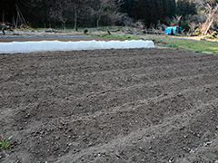 Fertilizer used for farming