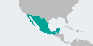 AMCON México