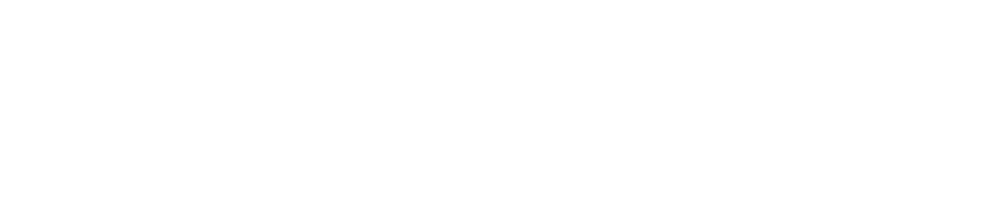 A Company Where Everyone Can Take the Lead