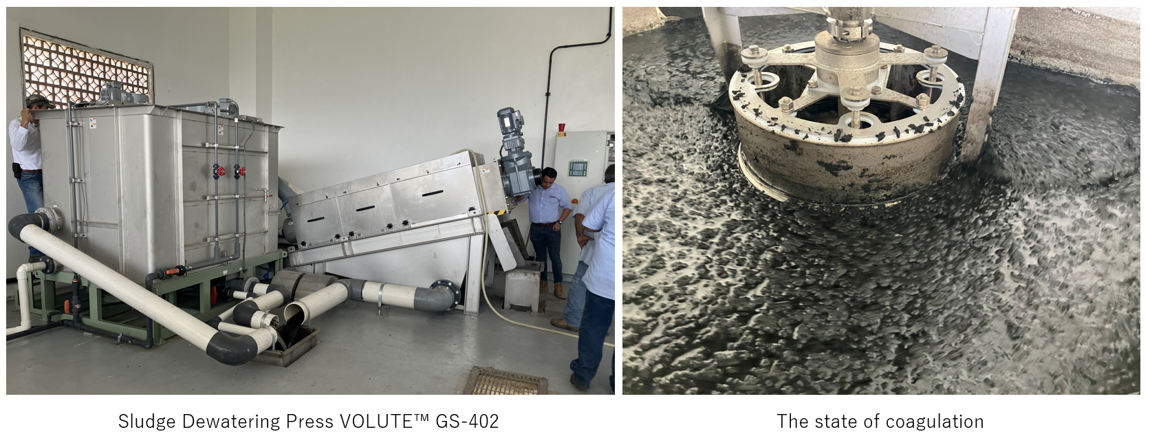 Sludge dewatering press